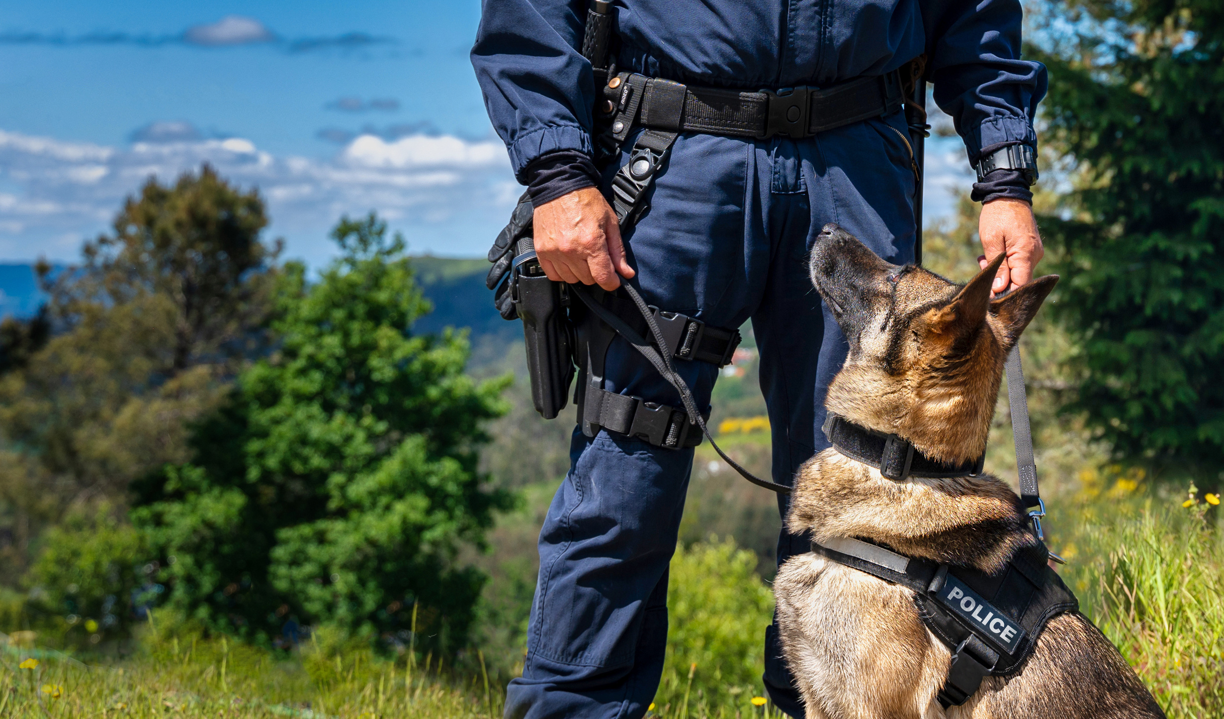 Unidad canina de seguridad